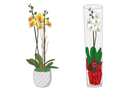 tekeningen arragement