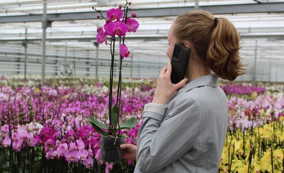 Vacature Accountmanager