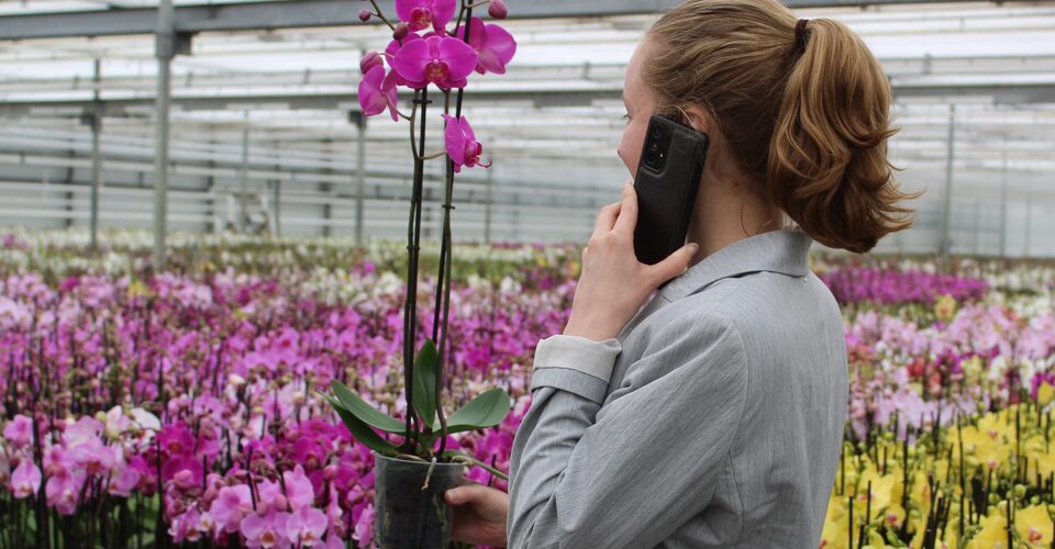 Vacature Accountmanager