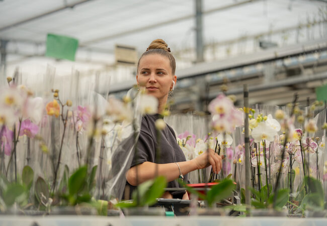 Wat vragen we van jou