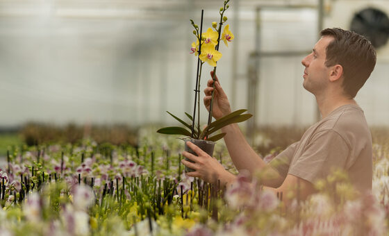 DSC04660-Verbeterd-NR