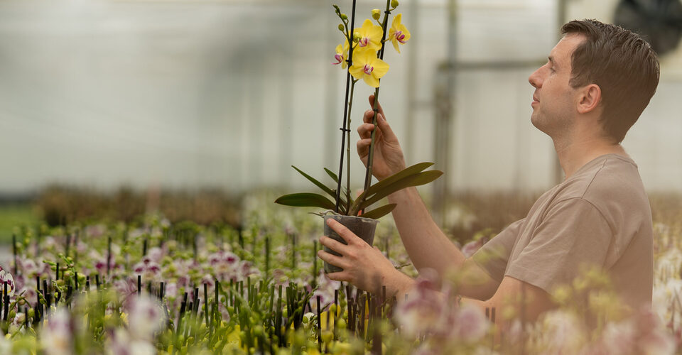 DSC04660-Verbeterd-NR