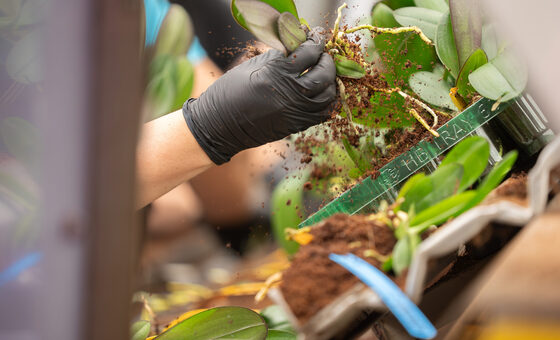 DSC04670-Verbeterd-NR-1 (3)